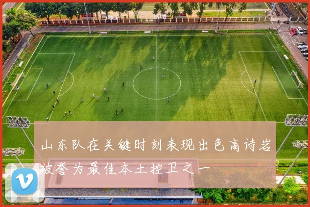 山东队在关键时刻表现出色高诗岩被誉为最佳本土控卫之一
