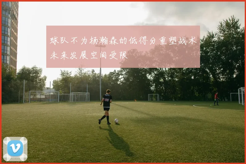 球队不为杨瀚森的低得分重塑战术未来发展空间受限