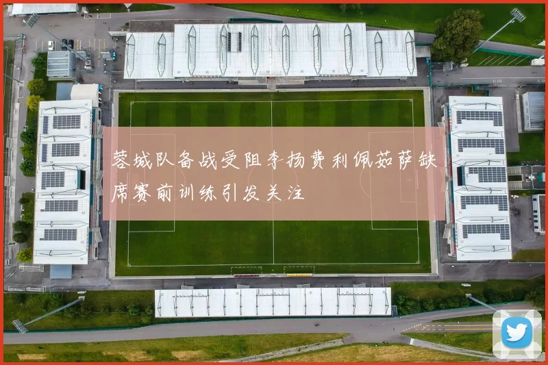 蓉城队备战受阻李扬费利佩茹萨缺席赛前训练引发关注